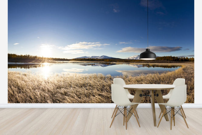 PHOTOWALL / Northern Swedish Landscape (e23674)