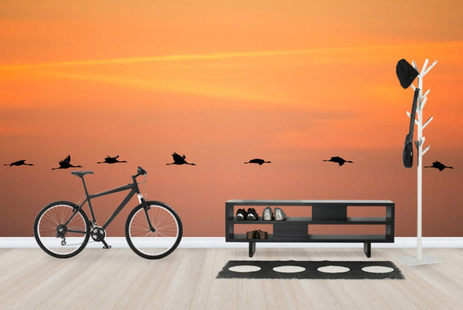 PHOTOWALL / Cranes in Sunrise (e23687)