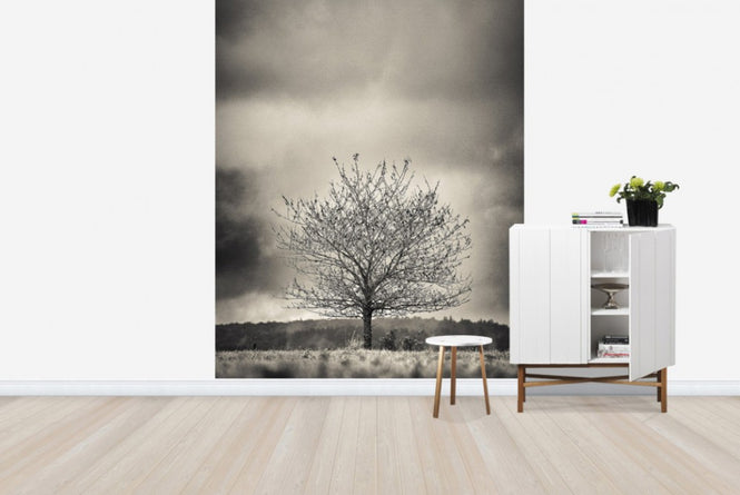 PHOTOWALL / Tree in Halland - Sweden (e23695)