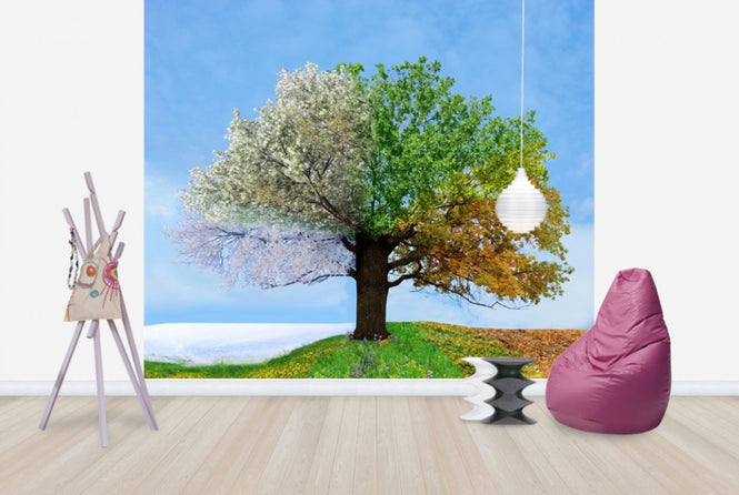PHOTOWALL / Tree of Four Seasons (e40068)