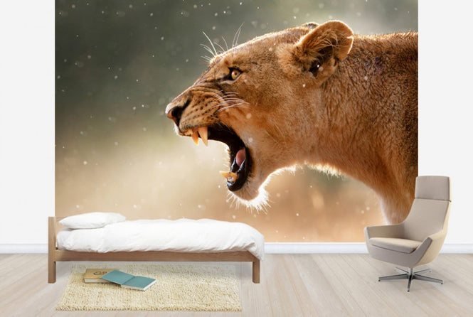 PHOTOWALL / The Lions Roar (e40072)