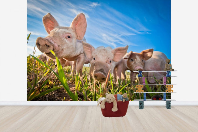 PHOTOWALL / Nosy (e40150)