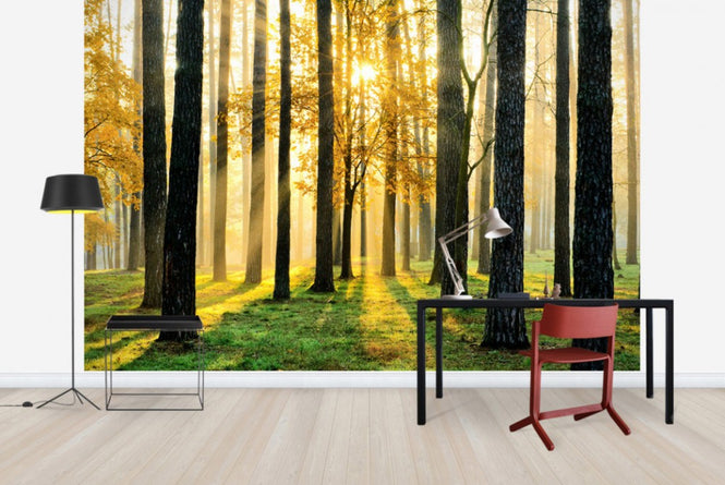 PHOTOWALL / Morning Scene (e40147)