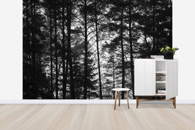PHOTOWALL / Pine Trunk bw (e23786)
