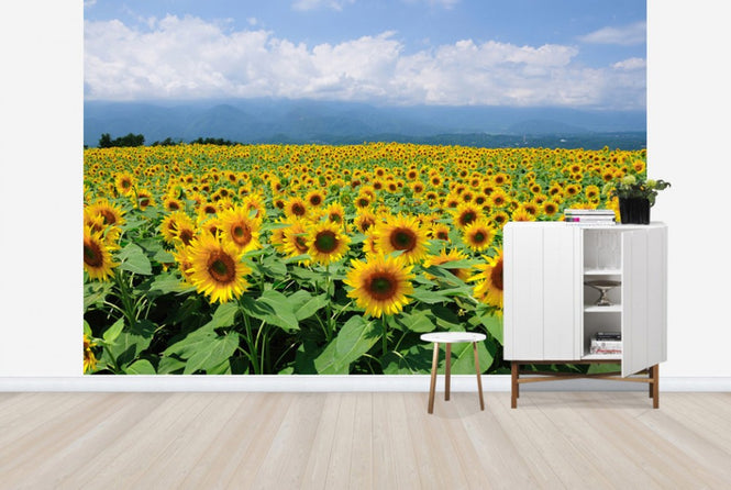 PHOTOWALL / Sunflowers in Sunny Weather (e23934)