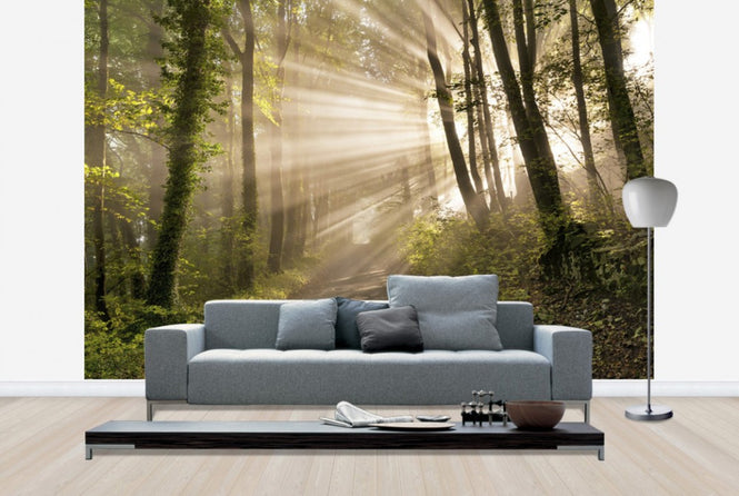 PHOTOWALL / Pearl Rays of Sunlight (e23957)