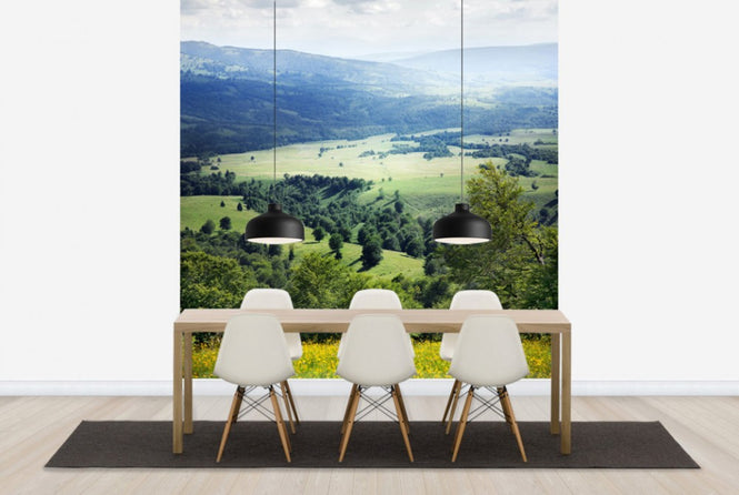 PHOTOWALL / Verdure and Yellow Spring Flowers (e24028)