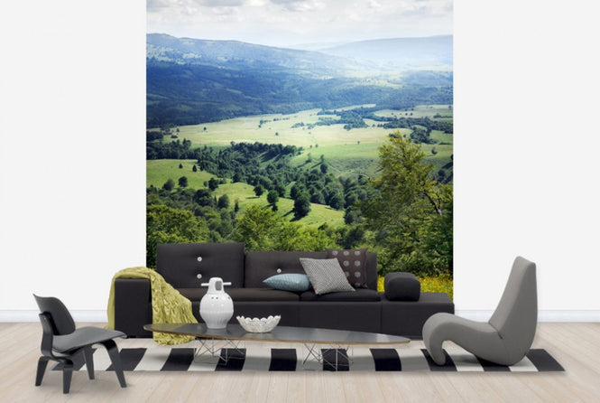 PHOTOWALL / Verdure and Yellow Spring Flowers (e24028)
