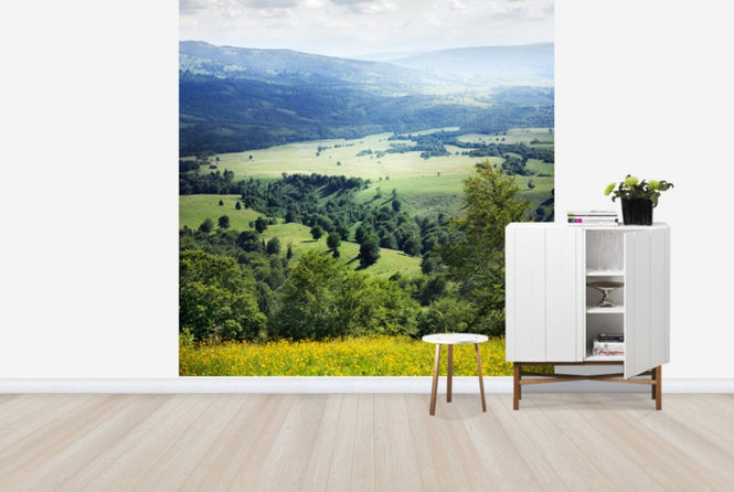 PHOTOWALL / Verdure and Yellow Spring Flowers (e24028)