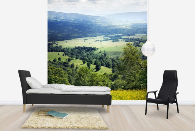 PHOTOWALL / Verdure and Yellow Spring Flowers (e24028)