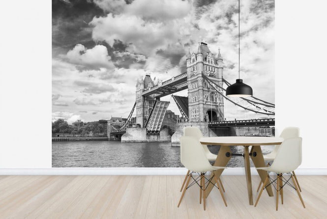 PHOTOWALL / Tower Bridge Opening (e24066)