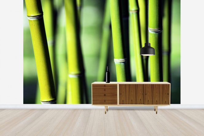 PHOTOWALL / Evergreen (e24099)