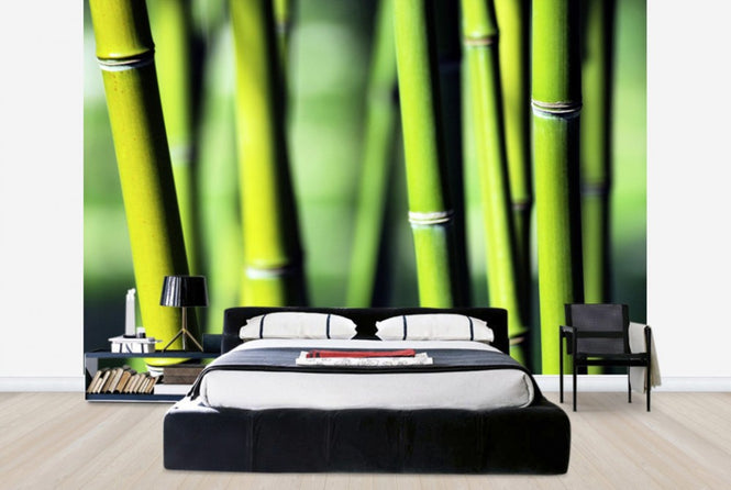 PHOTOWALL / Evergreen (e24099)