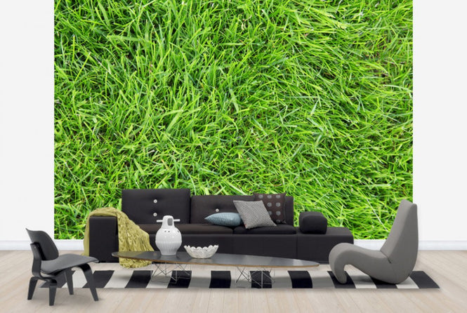 PHOTOWALL / Fresh Green Grass (e24101)