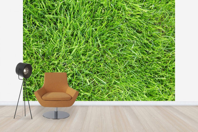 PHOTOWALL / Fresh Green Grass (e24101)