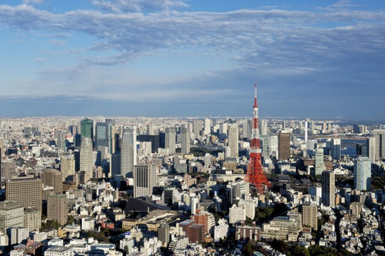 PHOTOWALL / Tokyo View at Daylight (e24149)