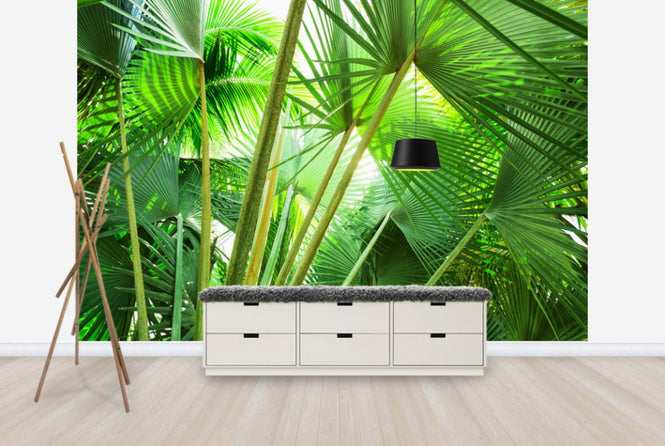 PHOTOWALL / Palm Grove (e24106)