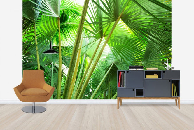 PHOTOWALL / Palm Grove (e24106)
