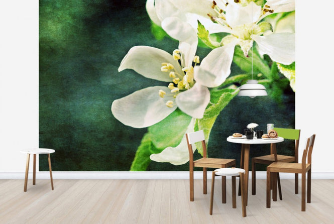 PHOTOWALL / Apple Blossom (e24121)