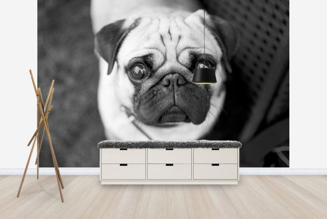 PHOTOWALL / Big Eyes (e24127)