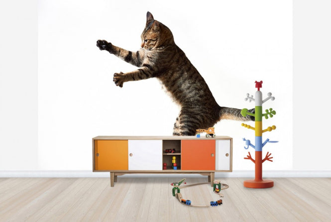 PHOTOWALL / Big Jump (e24143)