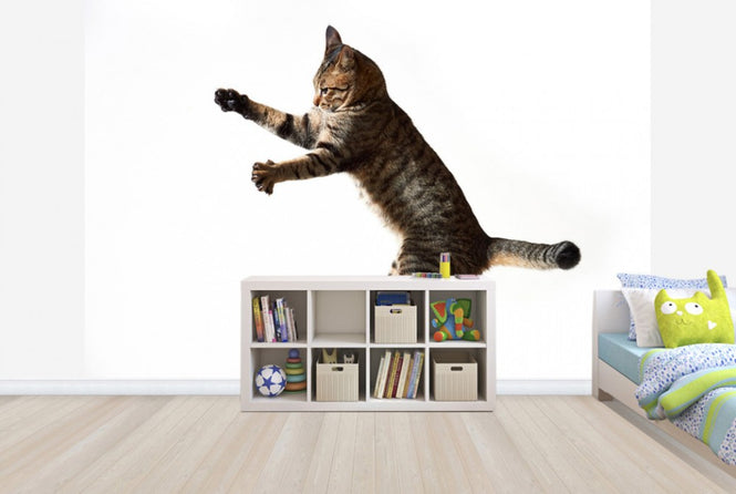 PHOTOWALL / Big Jump (e24143)