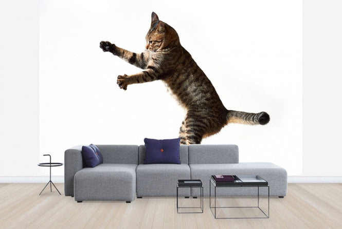 PHOTOWALL / Big Jump (e24143)