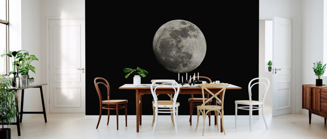 PHOTOWALL / Moon (e24408)