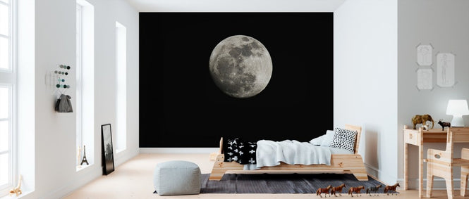 PHOTOWALL / Moon (e24408)