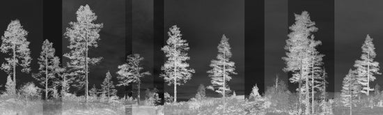 PHOTOWALL / Panorama - Black (e24477)