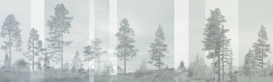 PHOTOWALL / Panorama - Pale Bluegreen (e24481)