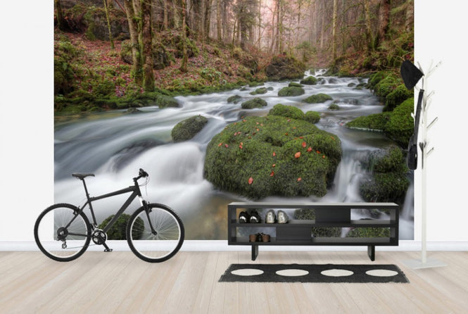 PHOTOWALL / Changing Seasons (e24577)