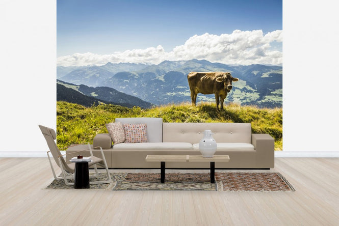 PHOTOWALL / Cow Grazing on Grassy Hillside (e24640)