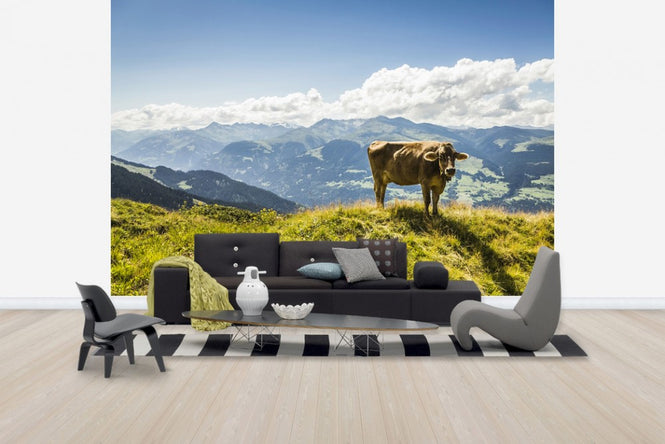 PHOTOWALL / Cow Grazing on Grassy Hillside (e24640)