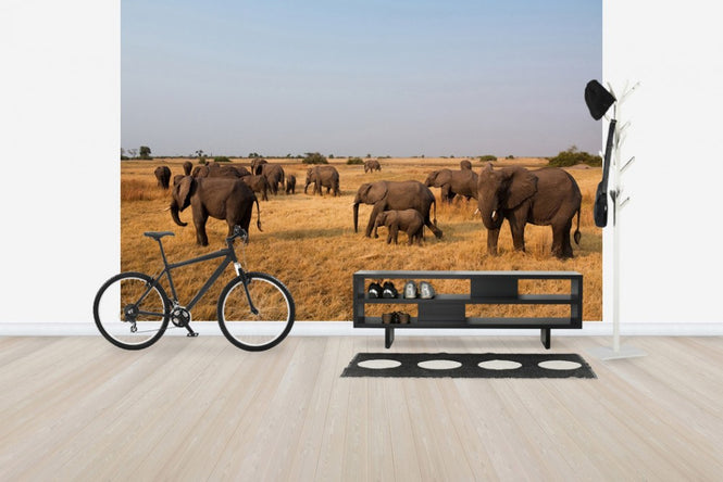 PHOTOWALL / African Elephant Herd (e24643)