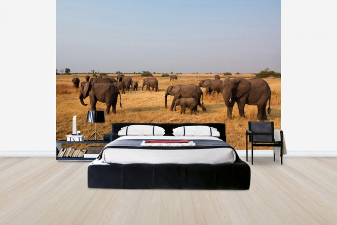 PHOTOWALL / African Elephant Herd (e24643)