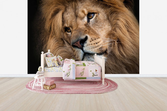 PHOTOWALL / Leo (e24647)