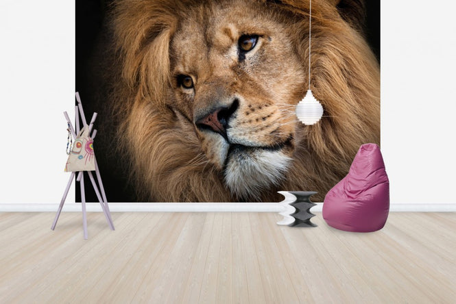 PHOTOWALL / Leo (e24647)