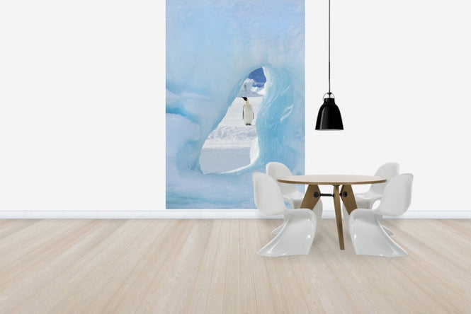 PHOTOWALL / Now you see me (e24654)