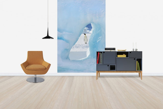 PHOTOWALL / Now you see me (e24654)