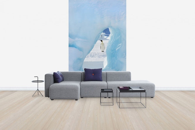PHOTOWALL / Now you see me (e24654)