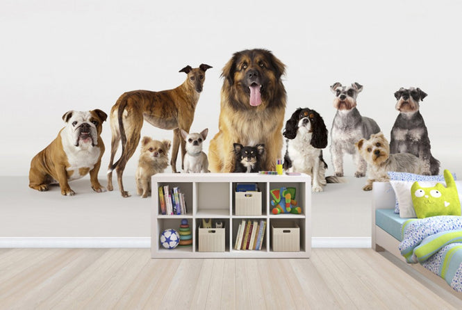 PHOTOWALL / Group Portrait of Dogs (e24762)
