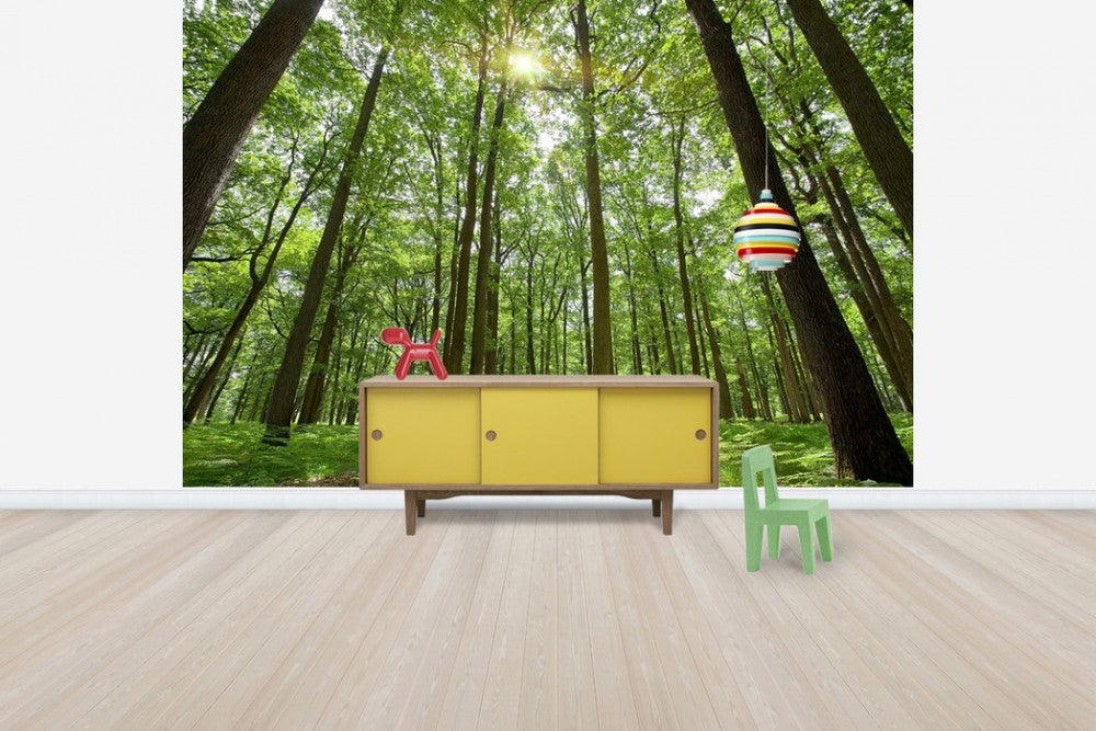 Zoom