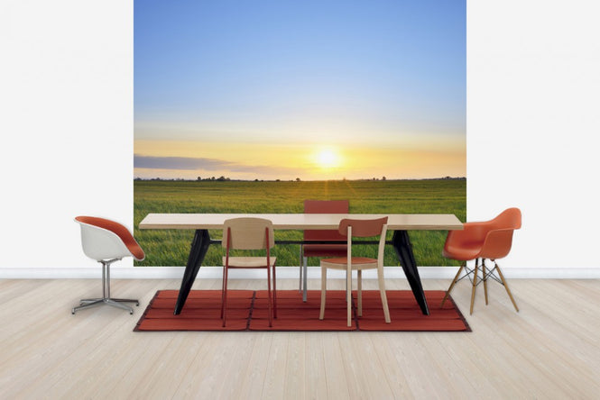 PHOTOWALL / Meadow at Sunset (e40243)