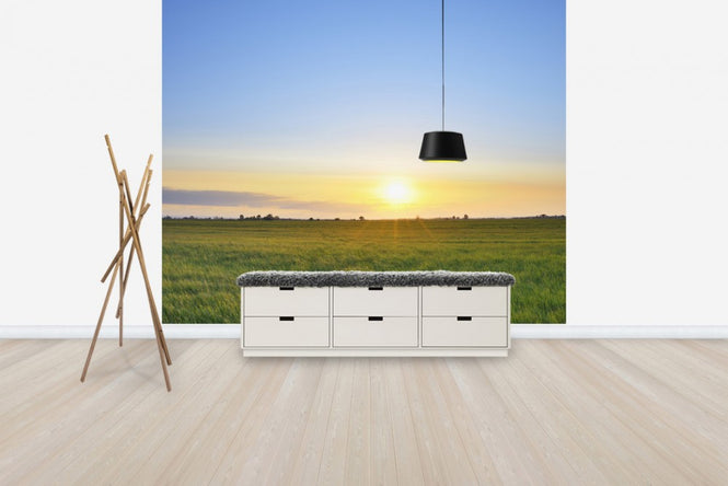 PHOTOWALL / Meadow at Sunset (e40243)