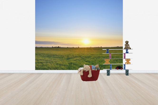 PHOTOWALL / Meadow at Sunset (e40243)