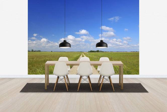 PHOTOWALL / Path through Meadow (e40246)