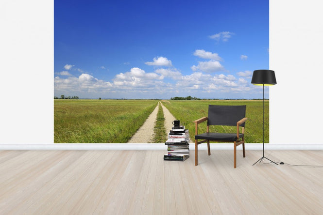PHOTOWALL / Path through Meadow (e40246)