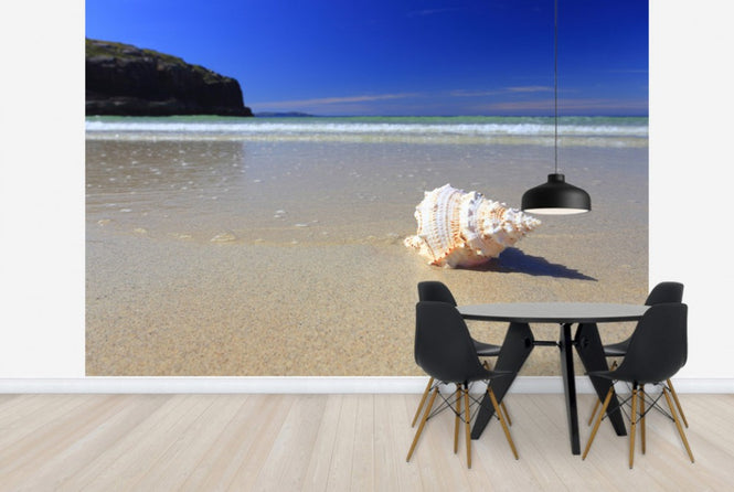 PHOTOWALL / Shell on Beach (e24919)