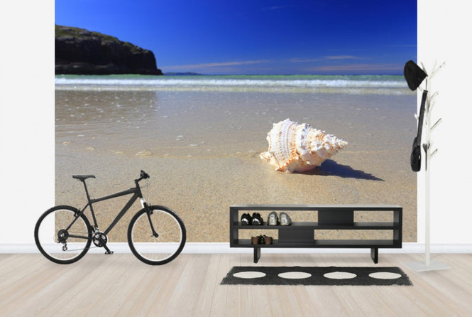 PHOTOWALL / Shell on Beach (e24919)